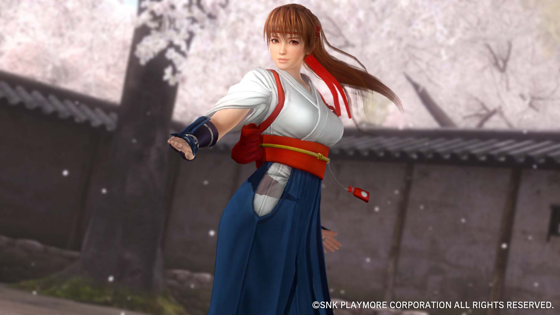 Dead or Alive 5 ganha belo DLC com Mai Shiranui e outras lutadoras de KoF