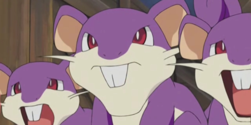 Jogador derrota o líder da Elite Four usando um Rattata nível 1