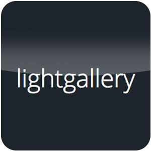 lightgallery download options