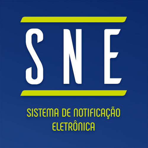 Logo SNE DENATRAN Ícone Logo SNE DENATRAN Ícone