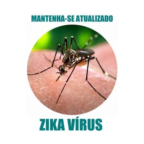 Logo Zika Vírus – Notícias Ícone Logo Zika Vírus – Notícias Ícone