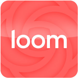 loom video downloader online