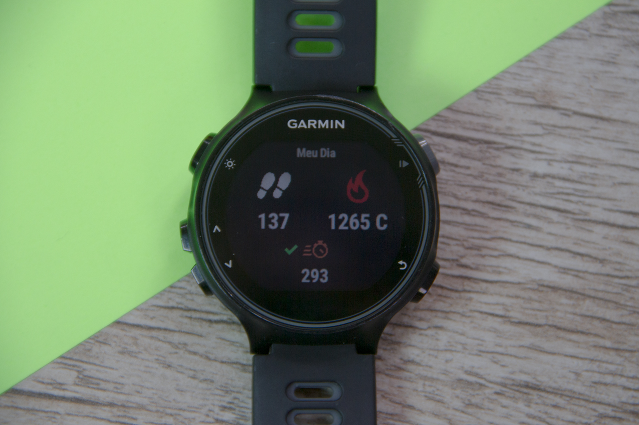 garmin 735xt natação