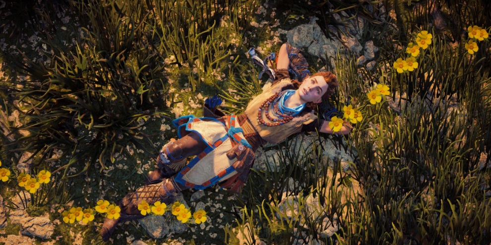 Atualização traz novos recursos ao modo fotografia de Horizon: Zero Dawn