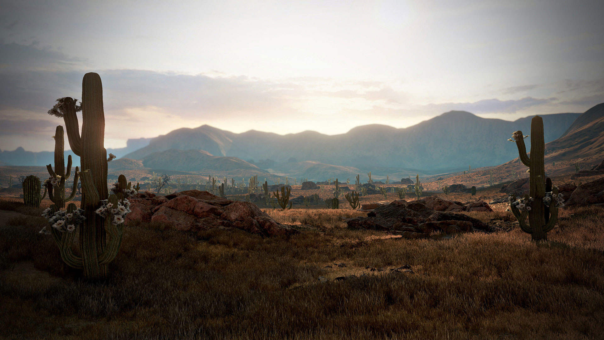 Imagem vazada não era de Red Dead Redemption 2, mas sim de um MMO