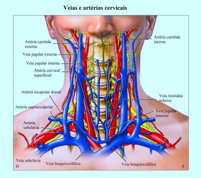Quanto tempo dura o dano nervoso