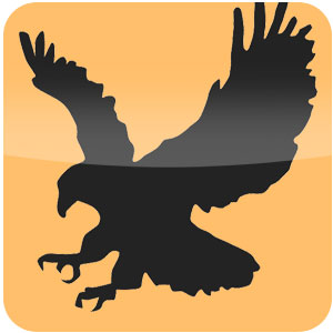 Logo Black Bird Cleaner Ícone Logo Black Bird Cleaner Ícone