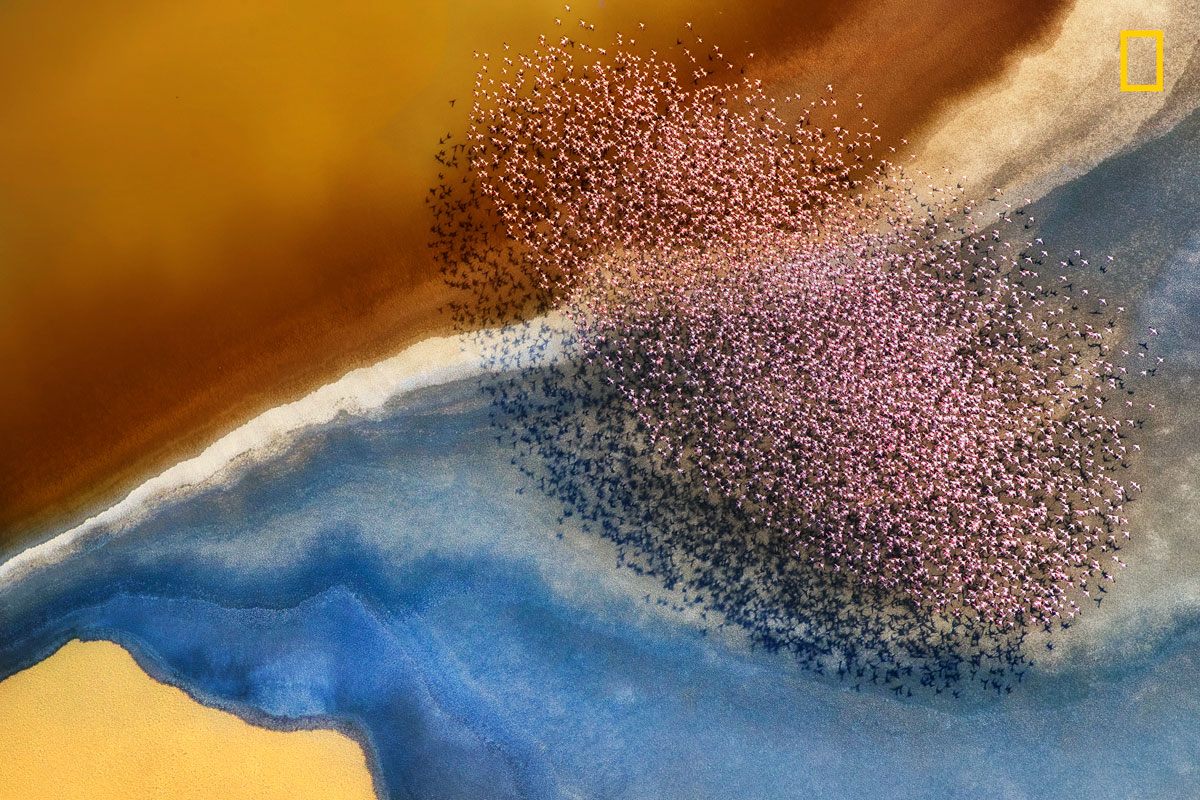 (Crédito: Nature Photographer of the Year/Philip Chang)