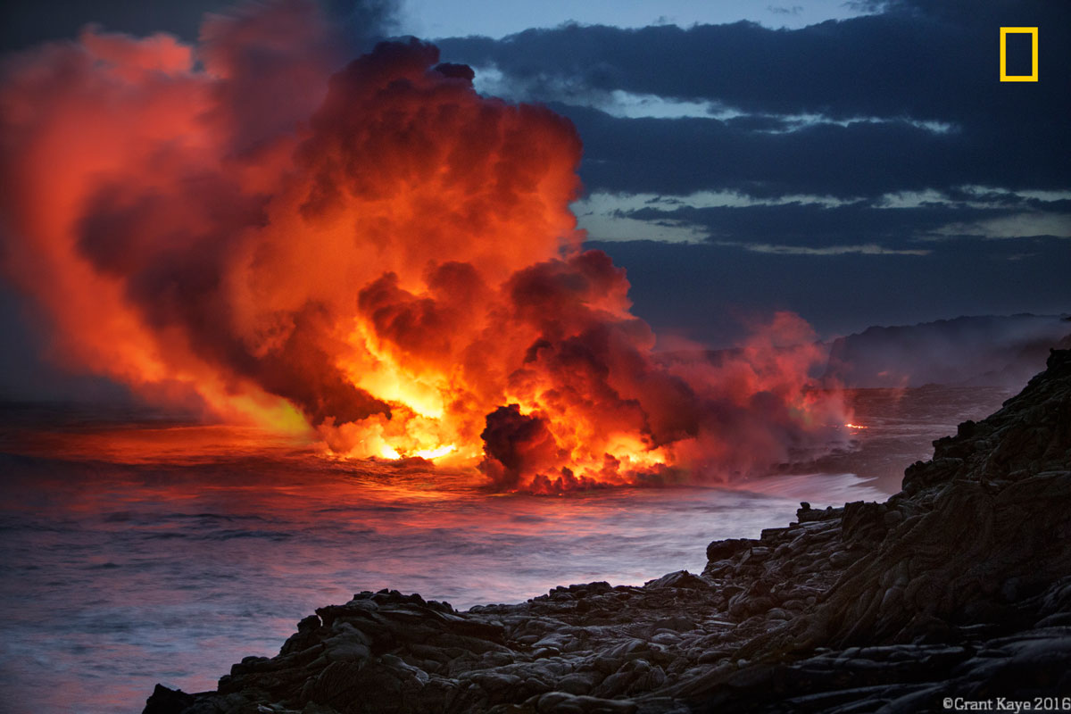 (Crédito: Nature Photographer of the Year/Grant Kaye)