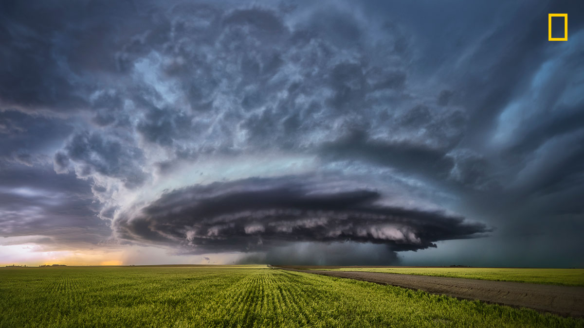 (Crédito: (Nature Photographer of the Year/Derek Burdeny))