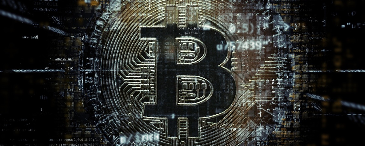 milionário de são francisco bitcoin