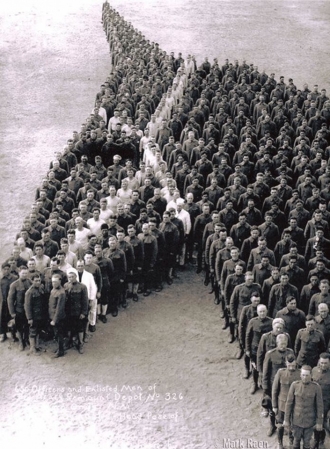 homenagem a cavalos