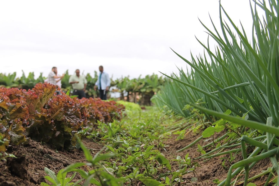 agroecólogo