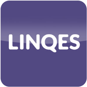 Logo Linqes Ícone Logo Linqes Ícone