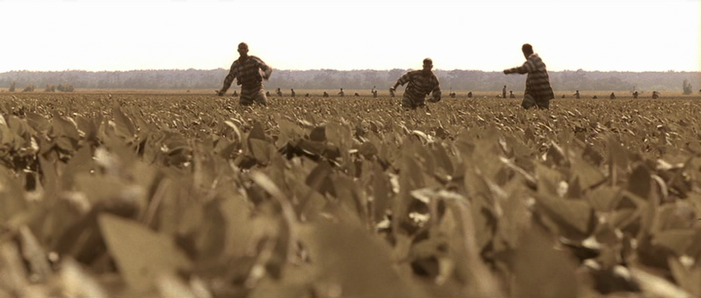 roger deakins