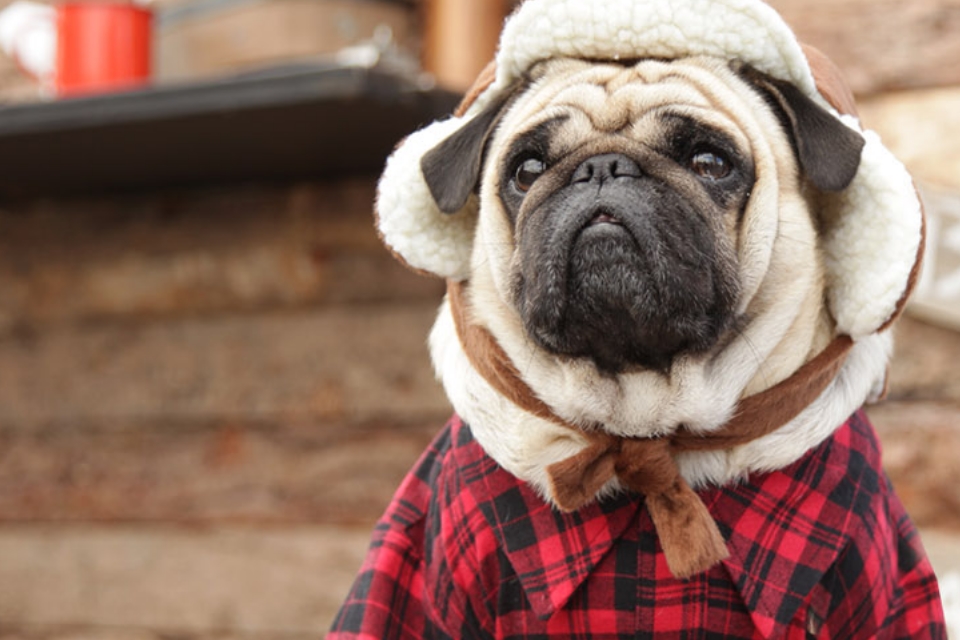 Imagem de: GoDaddy: você só precisa de uma ideia para existir na internet