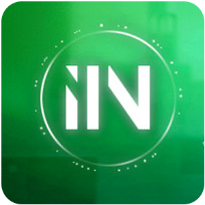 Logo IIN Ícone Logo IIN Ícone