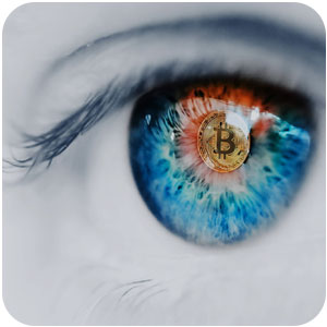 Logo Hodl My Secret Ícone Logo Hodl My Secret Ícone