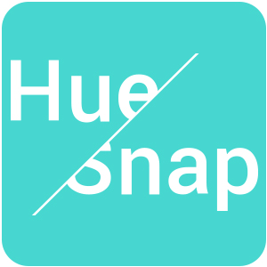 Logo HueSnap Ícone Logo HueSnap Ícone