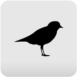 Logo Plover Ícone Logo Plover Ícone