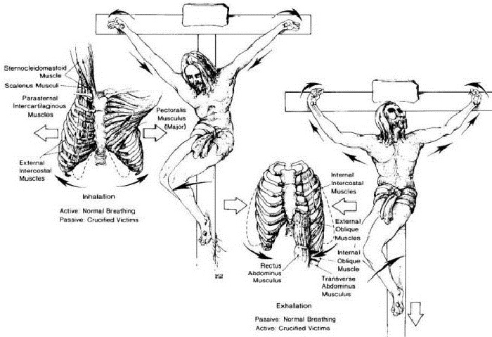 Resultado de imagem para crucificaÃ§Ã£o romanos