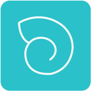 Logo Shelly Ícone Logo Shelly Ícone