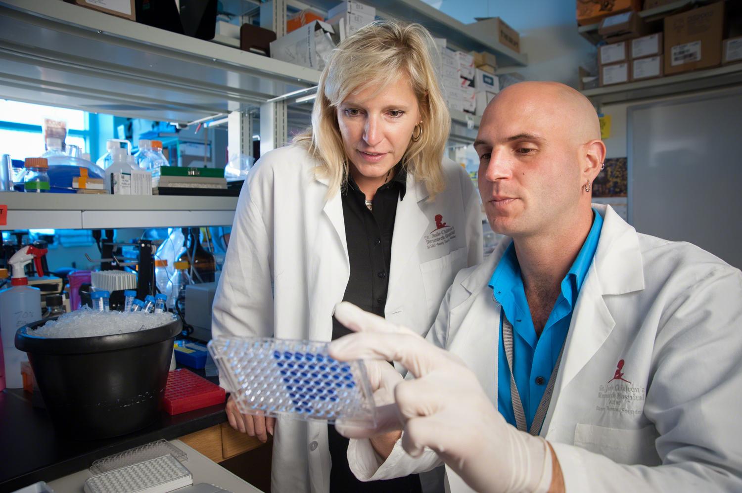 Imagem de: Bill Gates reforça pesquisa de vacina contra gripe em US$ 12 milhões