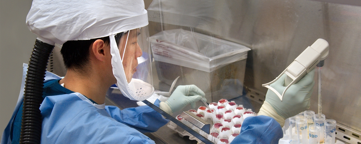 Imagem de: Bill Gates reforça pesquisa de vacina contra gripe em US$ 12 milhões