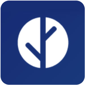 Logo Schema Ícone Logo Schema Ícone