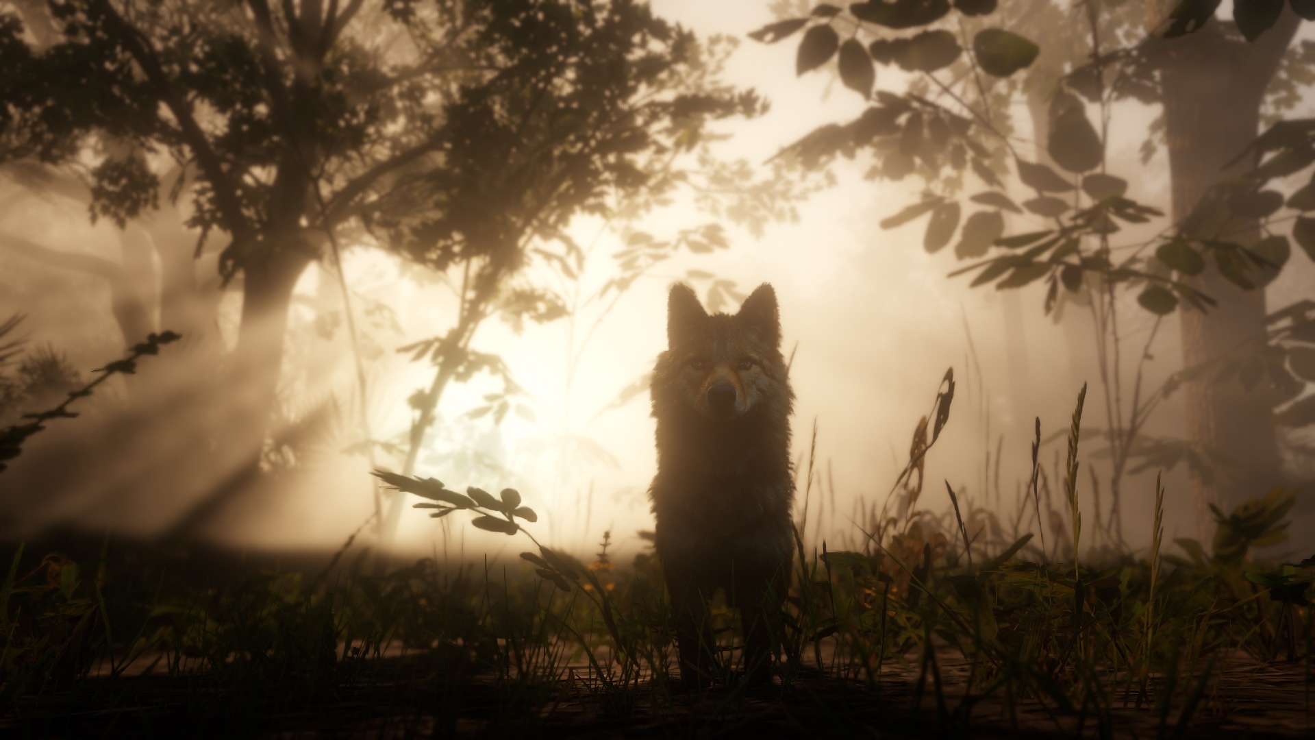 Red Dead Redemption 2 ganha uma tonelada de novas imagens espetaculares