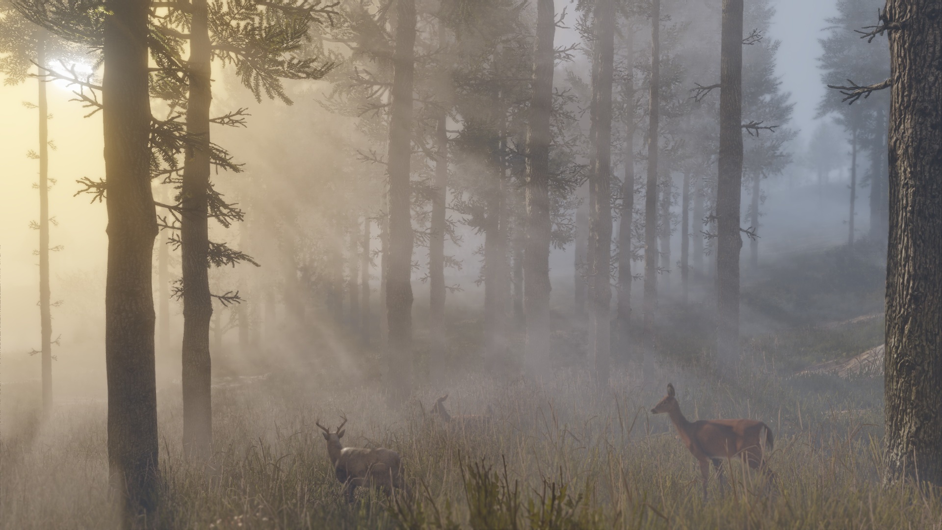 Red Dead Redemption 2 ganha uma tonelada de novas imagens espetaculares
