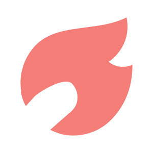 Logo Torch Ícone Logo Torch Ícone