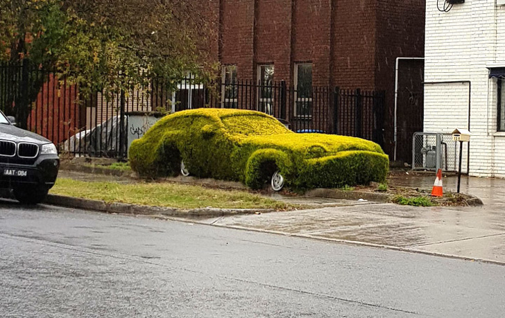carro