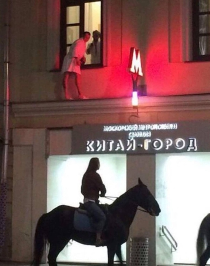 cavalo