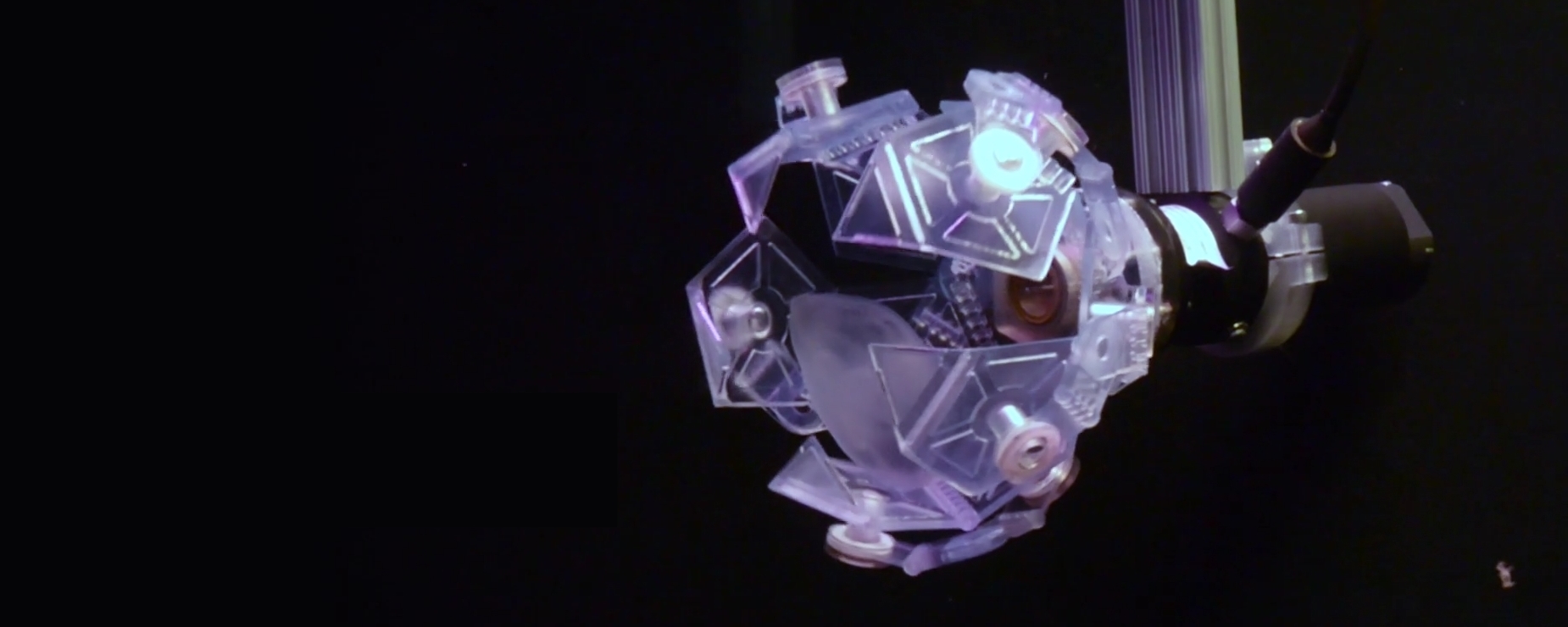 Imagem de: Armadilha-origami é feita em impressora 3D para não machucar invertebrados
