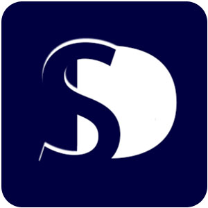 Logo Desapego Seguro Ícone Logo Desapego Seguro Ícone