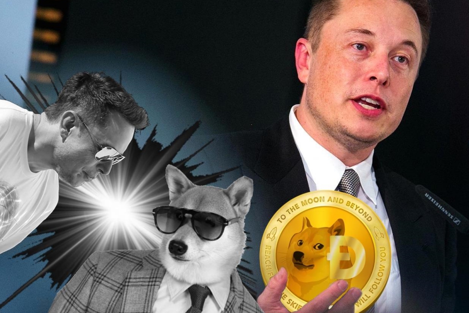 Elon Musk pede ajuda ao criador do Dogecoin para combater ...