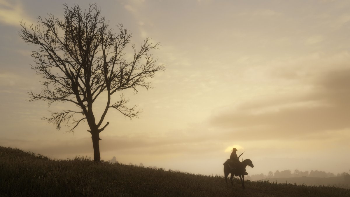 Red Dead Redemption 2: campanha em primeira pessoa e mais detalhes do game!