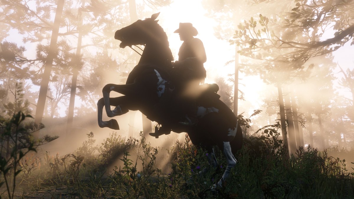 Red Dead Redemption 2: campanha em primeira pessoa e mais detalhes do game!