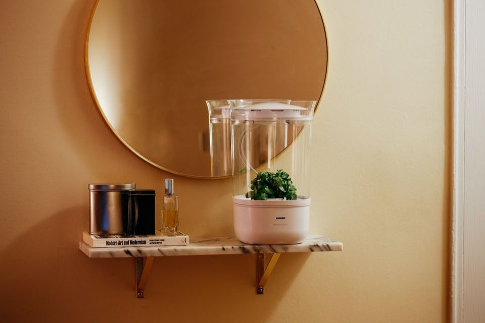 Vaso de plantas inteligente promete garantir tudo o que elas precisam