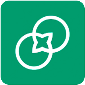 Logo Tipi Ícone Logo Tipi Ícone