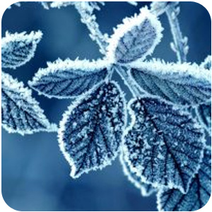 Logo Scenic Snow Theme Ícone Logo Scenic Snow Theme Ícone