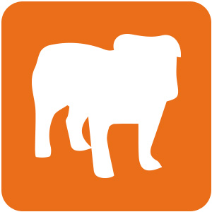 Logo BullGuard Antivirus 2019 Ícone Logo BullGuard Antivirus 2019 Ícone