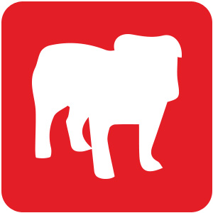 Logo BullGuard Internet Security 2019 Ícone Logo BullGuard Internet Security 2019 Ícone