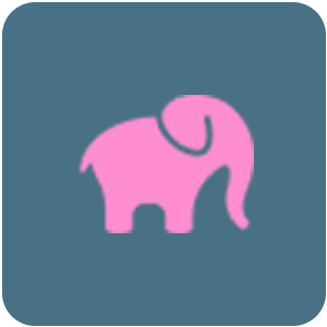 Logo Dear Ele Ícone Logo Dear Ele Ícone