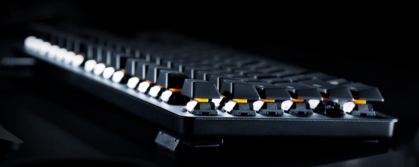 Imagem de: Novo Blackwidow Lite da Razer é feito para trabalhar, não para jogar