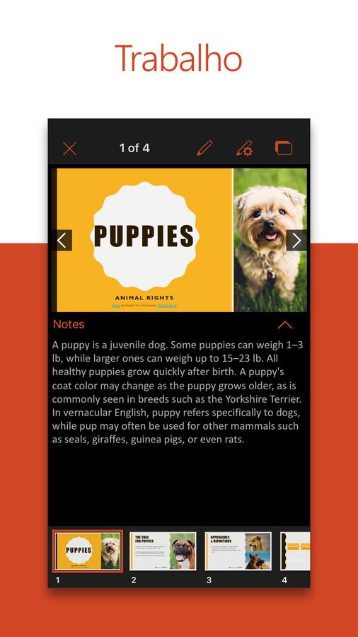 Microsoft PowerPoint screenshot 1