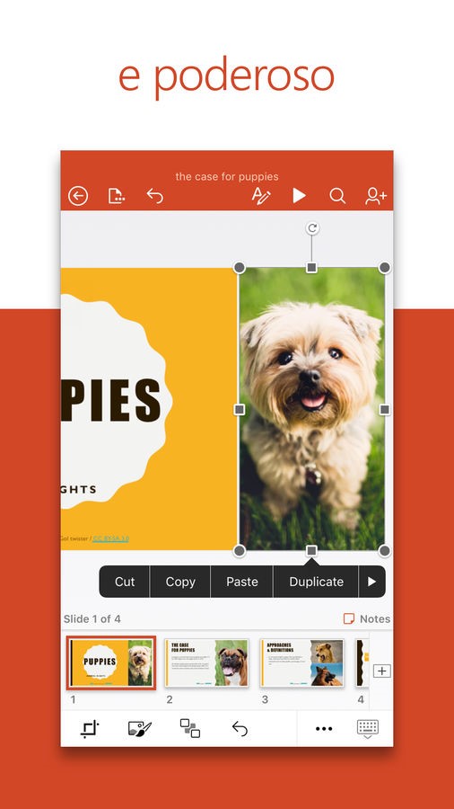 Microsoft PowerPoint screenshot 3