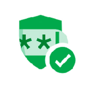 Logo Password Checkup Ícone Logo Password Checkup Ícone