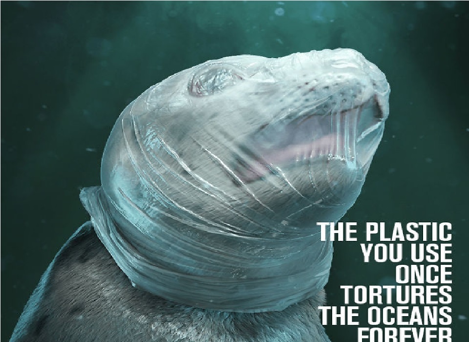 Campanha da Sea Shepherd sobre plásticos nos oceanos vai deixá-lo chocado